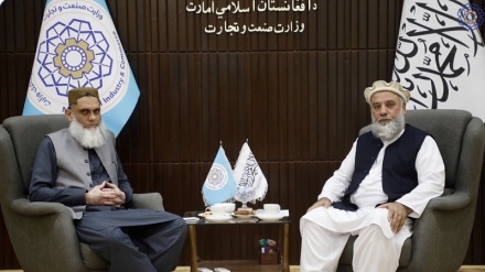 تقویت تجارت و ترانزیت، محور گفتگوی مقامات افغان و پاکستانی