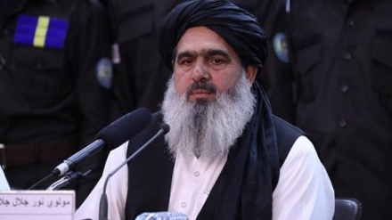 واکنش مقام طالبان به اخراج مهاجران افغان: برخی کشورها تحمل پیشرفت افغانستان را ندارند