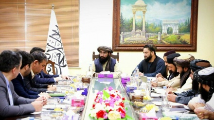 تاکید ایران و افغانستان بر اجرای توافق‌نامه‌های اقتصادی در نشست کمیته‌های فنی