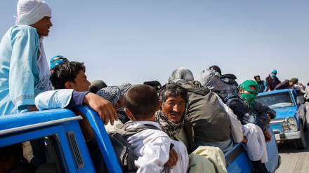  د بخښنې نړیوال سازمان له پاکستانه د افغان کډوالو د ویستلو پروګرام د لغوه کولو غوښتنه وکړه