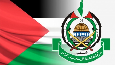 Eine zionistische Institution gibt zu: Die Hamas hat tiefe Wurzeln und ihre Zerstörung ist unmöglich