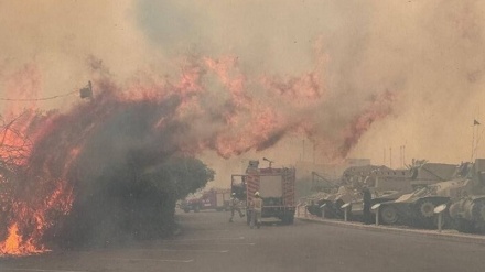Si Jago Merah Mengamuk di Jantung Israel