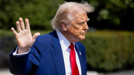 На фоне обвала мировых рынков Трамп называет пошлины лекарством