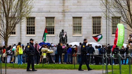 Harvard Üniversitesi Hocalarından  
