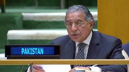 د پاکستان استازی د م.م. په امنیت شورا کې د طالبانو پر ضد د کمېټې مشر شو