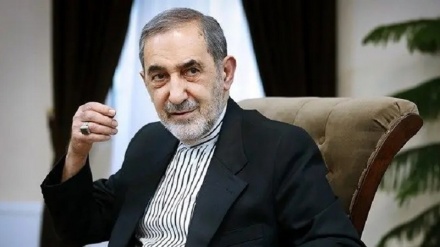 Velayeti: ABD'nin desteği, Siyonist rejimin suçlarını sürdürmesinde kilit rol oynuyor  