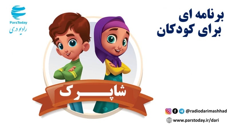 شاپرک