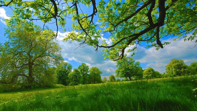 رسم زندگی_سه شنبه_2_2_404