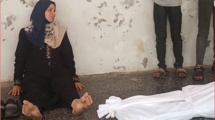 Ğəzzədə şəhidon ədəd vey bıə