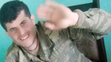 Daha bir Vətən Müharibəsi qazisi intihar etdi