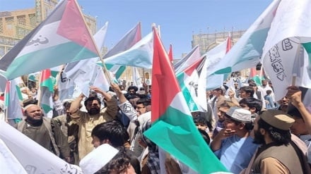 د افغانستان خلکو په کابل او څو نورو ښارونو کې د فلسطین په  ملاتړ کې لاریون وکړ