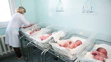 واقعیتی تلخ از نابودی عظیم جنین‌ها با IVF در آمریکا