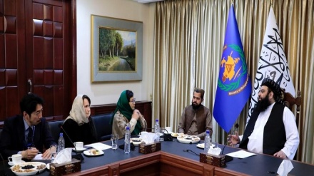 بازگشت مهاجران؛ طالبان خواستار کمک سازمان‌ ملل شد
