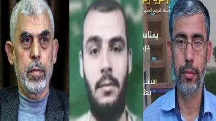 شهادت دو برادر یحیی السنوار در غزه