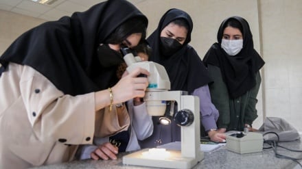 اخبار علمی | از ساخت نانوسامانه دارویی برای درمان سرطان سینه تا استقبال غنا از ابتکارات ایران در حوزه گردشگری سلامت