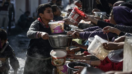 WFP: Kiwango cha chakula kinachoingizwa Gaza ni kidogo mno 