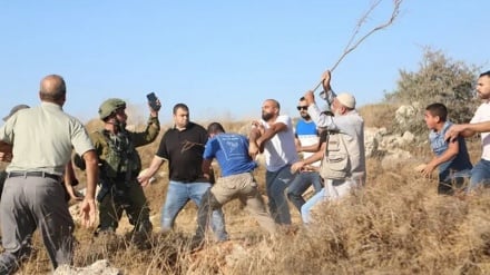 Amnesty International: Сионистские поселенцы вытесняют палестинцев