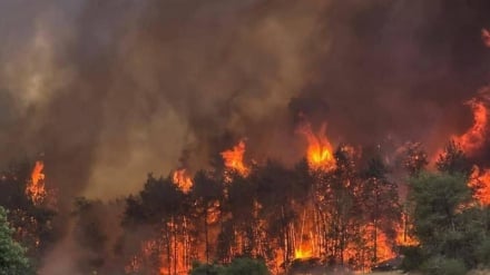 ইসরাইলে আবার আগুন, এবার জ্বলছে দখলকৃত আশদোদ শহর