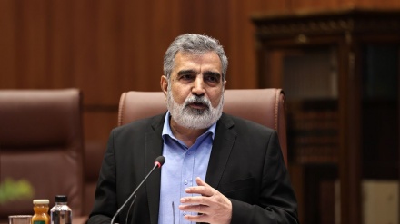 Kamalvəndi: Dinc nüvə texnologiyasına tam sahib olmaq İranın haqqıdır