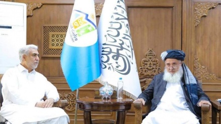 قطر دې  له  افغان کډوالو او چاپېریالي بحرانونو سره  مرستې وکړي