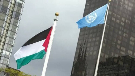 برافراشته شدن پرچم فلسطین در سازمان بهداشت جهانی 