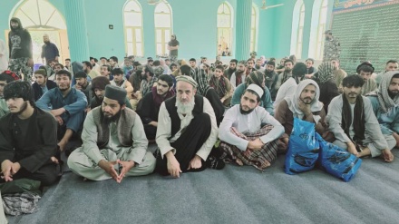 طالبانو د ننګرهار له بند خونې ۳۱۷ تنه ازاد کړل