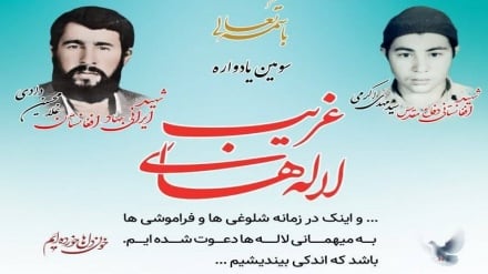 سومین یادواره لاله‌های غریب سه‌شنبه در حرم مطهر رضوی برگزار می‌شود