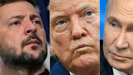 Trump: Putini po luan me zjarrin