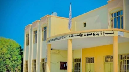 طالبانو د شیخ زاید پوهنتون ۱۲۰ استادان او کارکوونکي له کارونو لیرې کړل