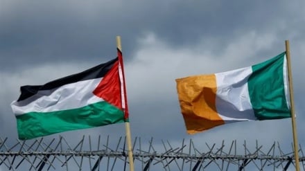 אירלנד העבירה הצעת חוק האוסרת על יבוא מוצרי התנחלויות ישראליות