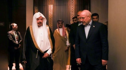 رئیس مجلس ایران: پیشرفت جهان اسلام در گرو همکاری ایران و عربستان است
