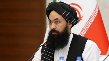 کار مشترک سرمایه گذاران افغانستانی و ایرانی نتایج مطلوبی می دهد