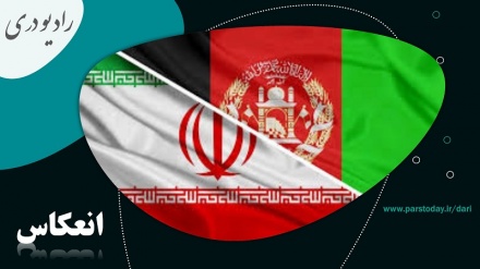آمادگی های بخش خصوصی افغانستان در خصوص همکاری های اقتصادی با ایران 