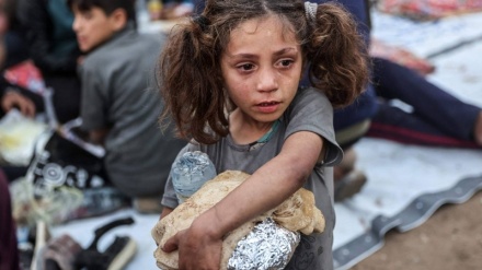 Israel Sengaja Menargetkan Toko Roti, Pertanian, Fasilitas Publik di Gaza