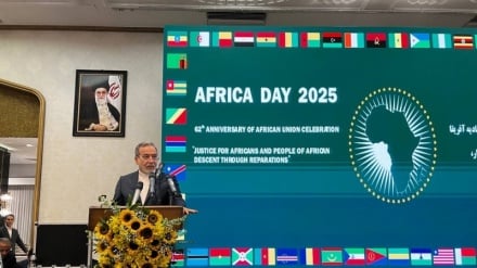 Bagaimana Iran dan Negara-Negara Afrika Dapat Saling Melengkapi Secara Ekonomi?