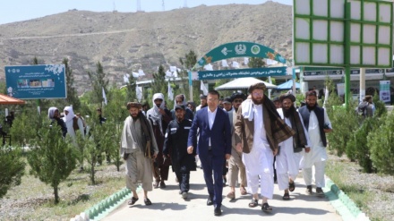 افتتاح نمایشگاه محصولات کشاورزی و مالداری در بادام‌باغ کابل 