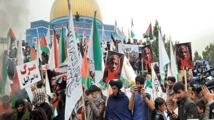 از تخار تا غزه، فریاد مردمی که برای مسلمانان بی‌دفاع فلسطین به صدا درآمده است