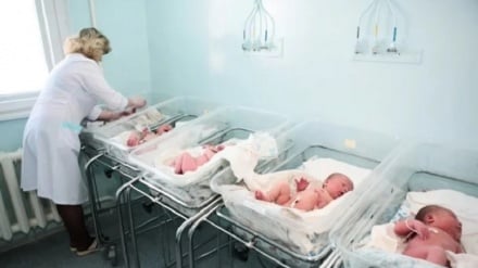 Tüp Bebek (IVF) ile ABD'de Büyük Embriyo İmhasının Acı Gerçeği