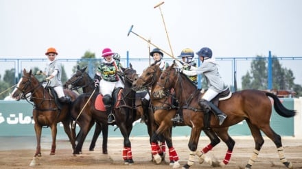 Le polo, le sport national des Iraniens / images de la ligue féminine et masculine