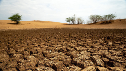 Joto lasababisha madhara makubwa barani Afrika