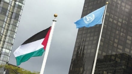 Apakah Persoalan Rakyat Gaza Hanya Tentang Pengakuan Palestina?