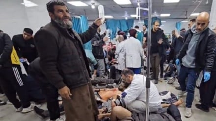 WHO: Gaza sangat Membutuhkan Peralatan dan Pelayanan Medis
