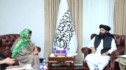 مقام طالبان و رئیس یوناما درباره مهاجرین بازگشته  گفت‌وگو کردند