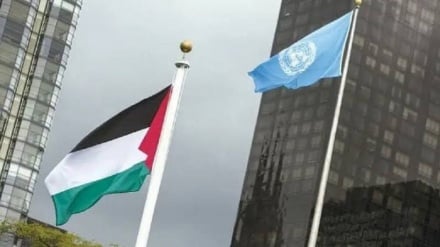 د روغتیا په نړیوال سازمان کې د فلسطین بیرغ پورته شو