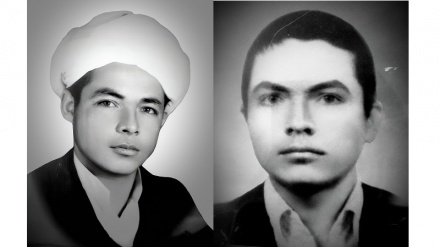 مستند شهیدان تفسیری 