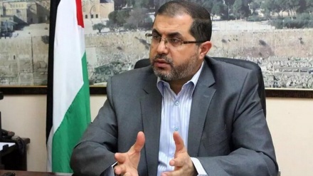 عضو ارشد حماس در واکنش به اظهارات دونالد ترامپ: غزه بخش جدایی‌ناپذیر سرزمین فلسطین است