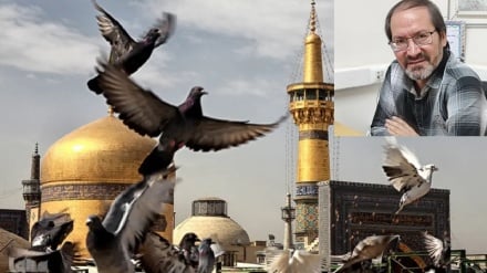 دو رکعت عشق؛ غزل شاعر افغانستانی نذر امام مهربانی‌ها
