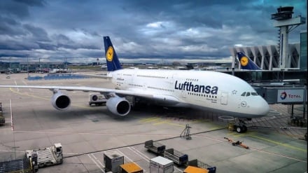 Which airlines have suspended flights to the Occupied Territories? 