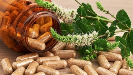 Produzione di medicina erboristica iraniana per il trattamento della prostata