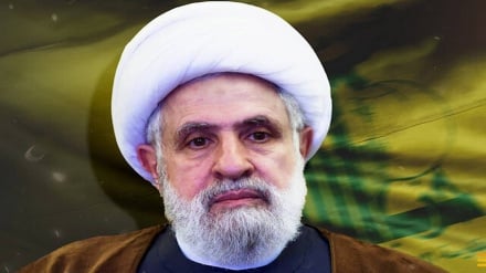 Şeyx Nəyim Ğasim:cənubi sərzəminiku dast nibəkəşemon